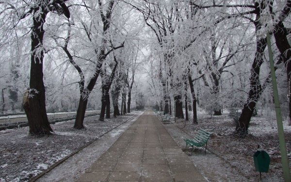 Ранняя зима в городе