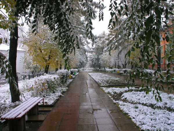 Первый снег в городе