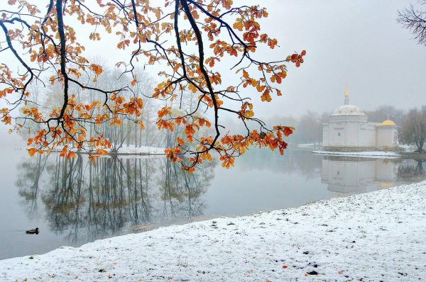 Поздняя осень в городе