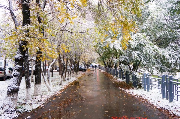 Первый снег в городе