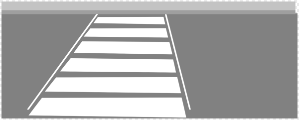 Зебра дорожная на белом фоне