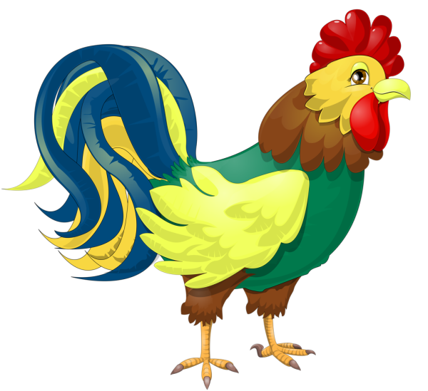 Петух на белом фоне