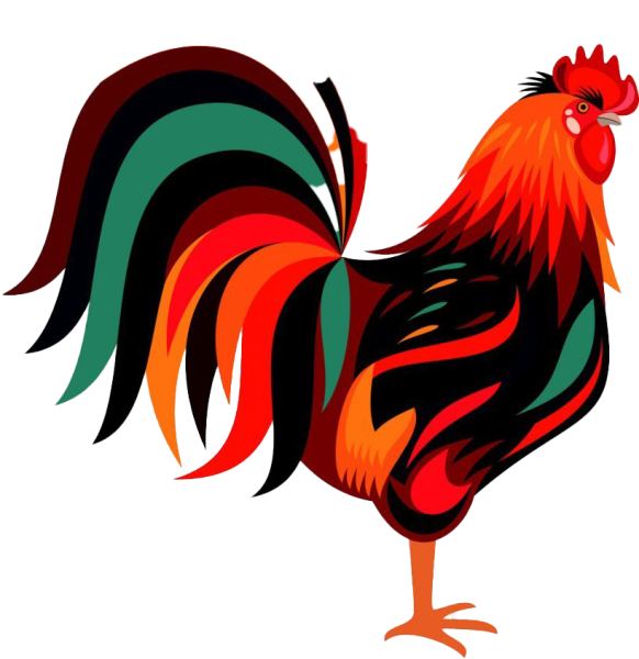 Хвост петуха