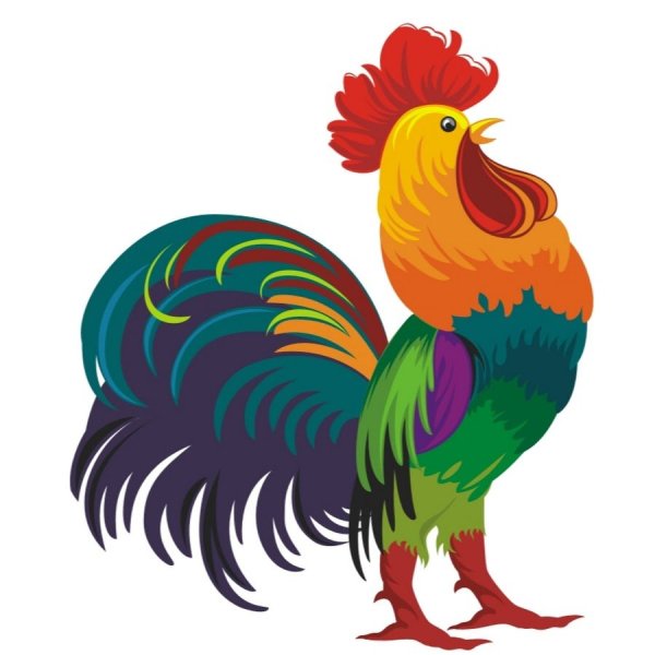 Петушок рисунок