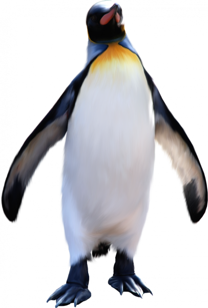 Королевский Пингвин на прозрачном фоне