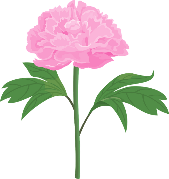 Пионы мультяшные