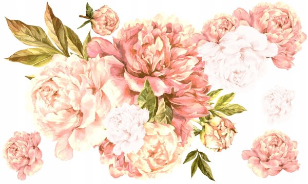 Пионы вектор