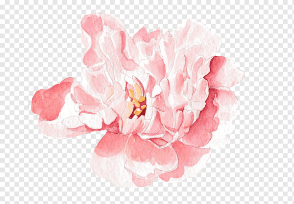 Бледно розовые цветы акварель