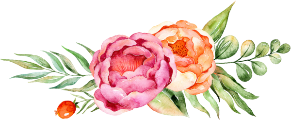 Пионы акварель оранжевые