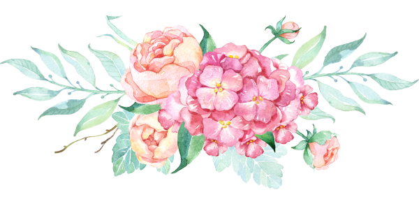 Пионы акварель на прозрачном фоне
