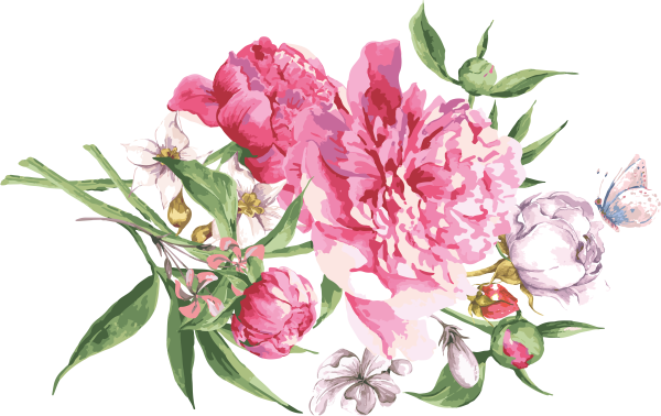 Акварельные пионы Gyu