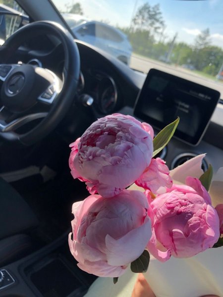 Пионы в машине фото