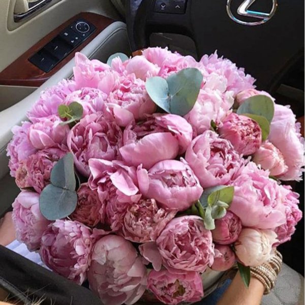 Цветы в машине пионы