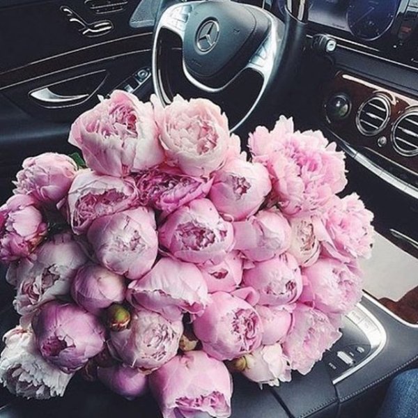 Пионы в машине