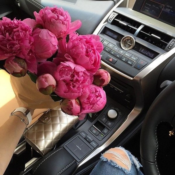Пионы букет в машине