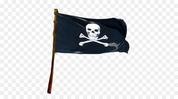 Пиратский флаг на палке