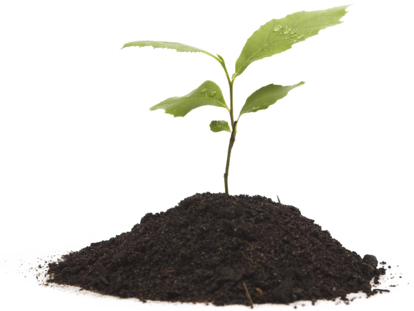 Grow PNG
