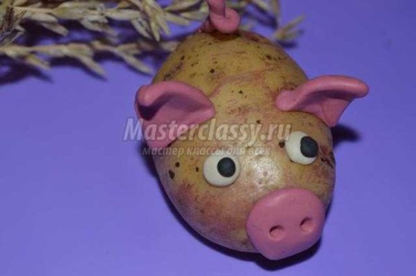 Поделка «Свинка с поросятами» из картофеля и апельсина для детей, мастер класс