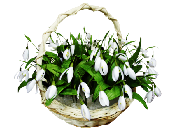 Подснежники в корзине