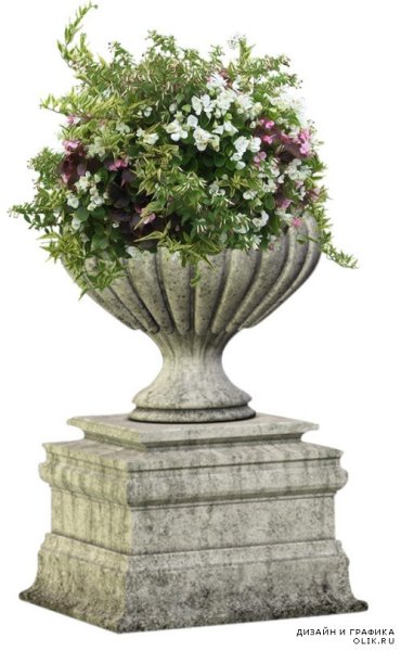 Прозрачный вазон