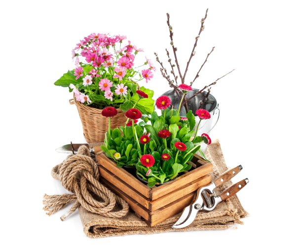 Корзинка с садовыми цветами