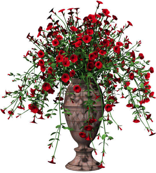 Цветы в вазах без фона