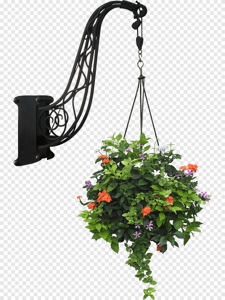 Растения для подвесных кашпо уличные