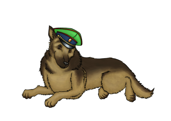 Пограничник на белом фоне