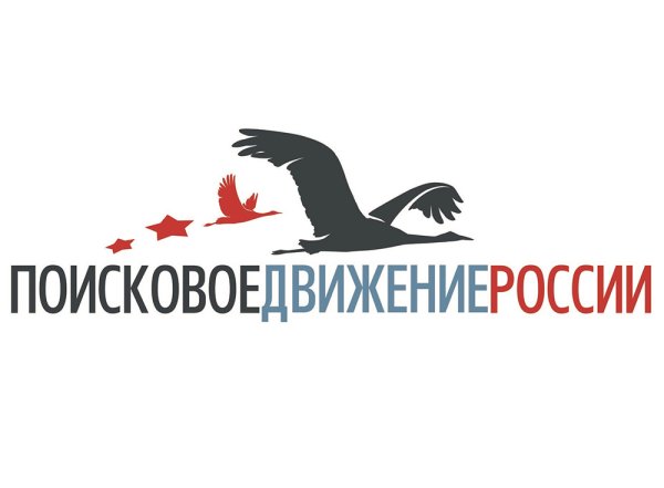 Надпись поисковое движение России