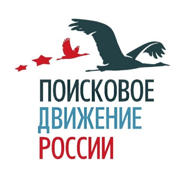 Флаг поискового движения России