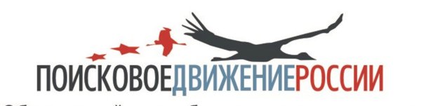 Поисковое движение логотип