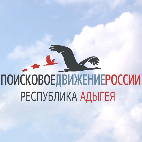 Поисковое движение России эмблема