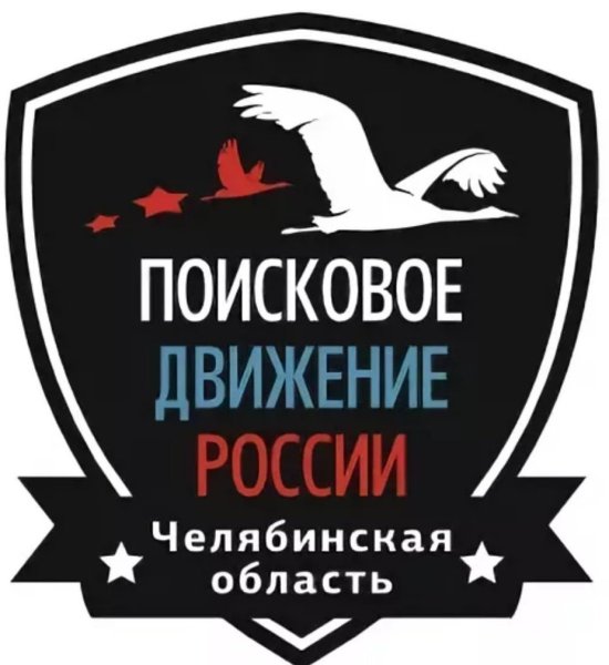 Поисковое движение России