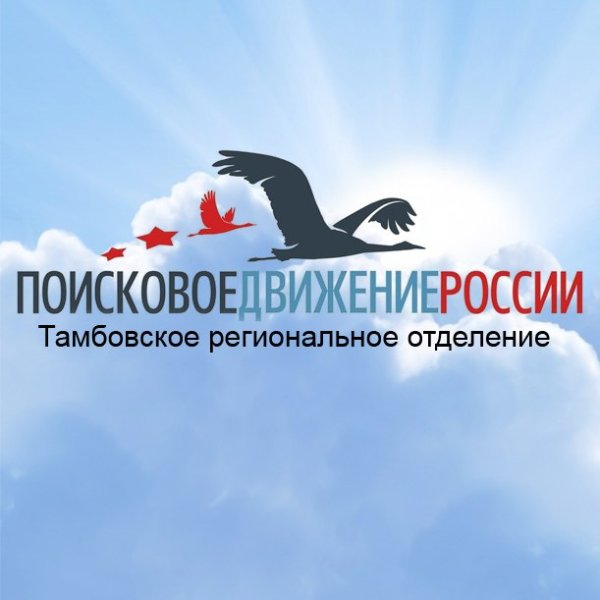 Поисковое движение России эмблема