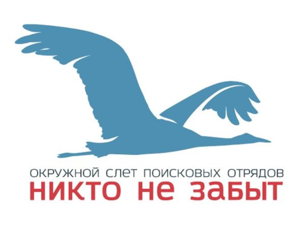 Поисковое движение логотип