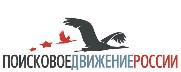 Поисковое движение России символика