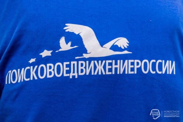 Символ поискового движения России