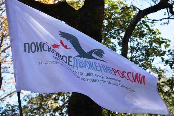 Поисковое движение России