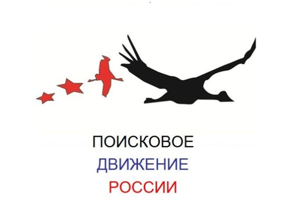 Флаг поискового движения России