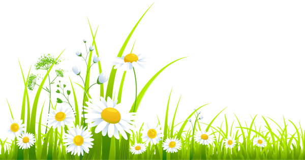 Трава с цветами вектор