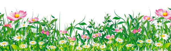 Трава с цветами на прозрачном фоне