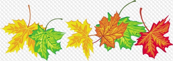 Гирлянда из осенних листьев на прозрачном фоне