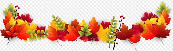 Осенний бордюр