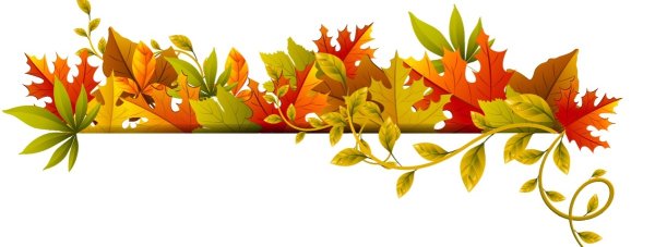 Полоска из осенних листочков