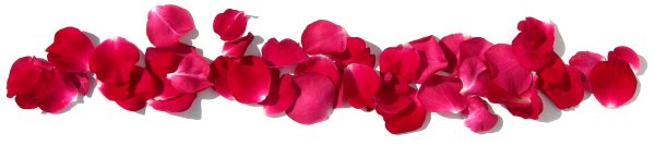 Цветочная гирлянда