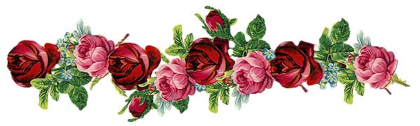Цветочные бордюры на прозрачном фоне
