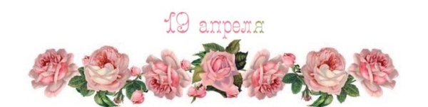 Узкая полоска из роз