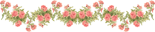Гирлянда из роз на прозрачном фоне