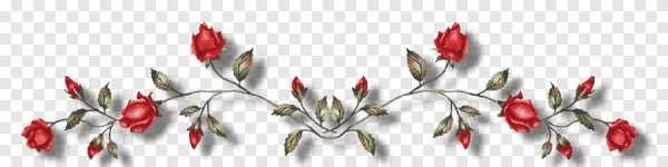 Разделители розы