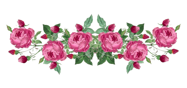 Полоса из цветов